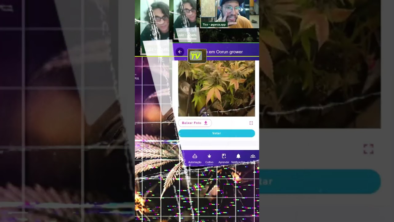 Copa Grower: Como Votar! 🌱Lembrando: as inscri&ccedil;&otilde;es j&aacute; encerraram, mas o poder do voto t&aacute; na sua m&atilde;o!