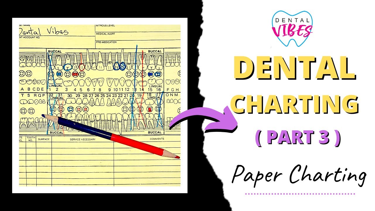 PAPER CHARTING FOR DENTAL ASSISTANTS // PART 3 // Paper charting