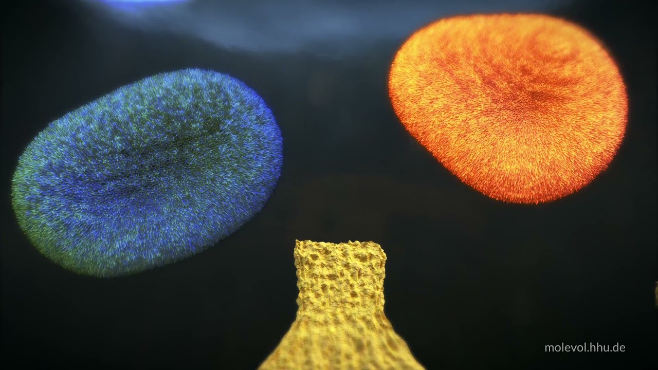 Origin of Life