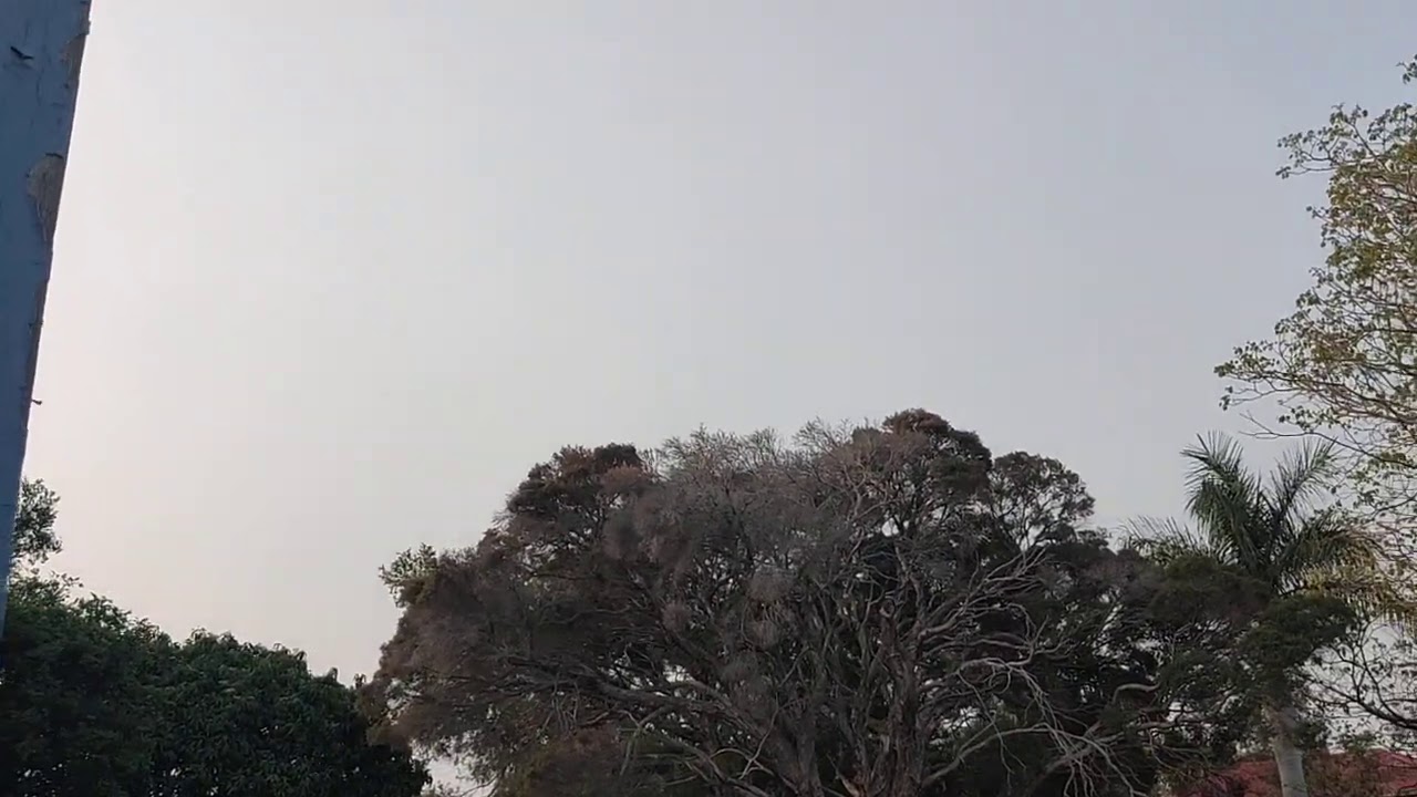 Bell 429 flyover