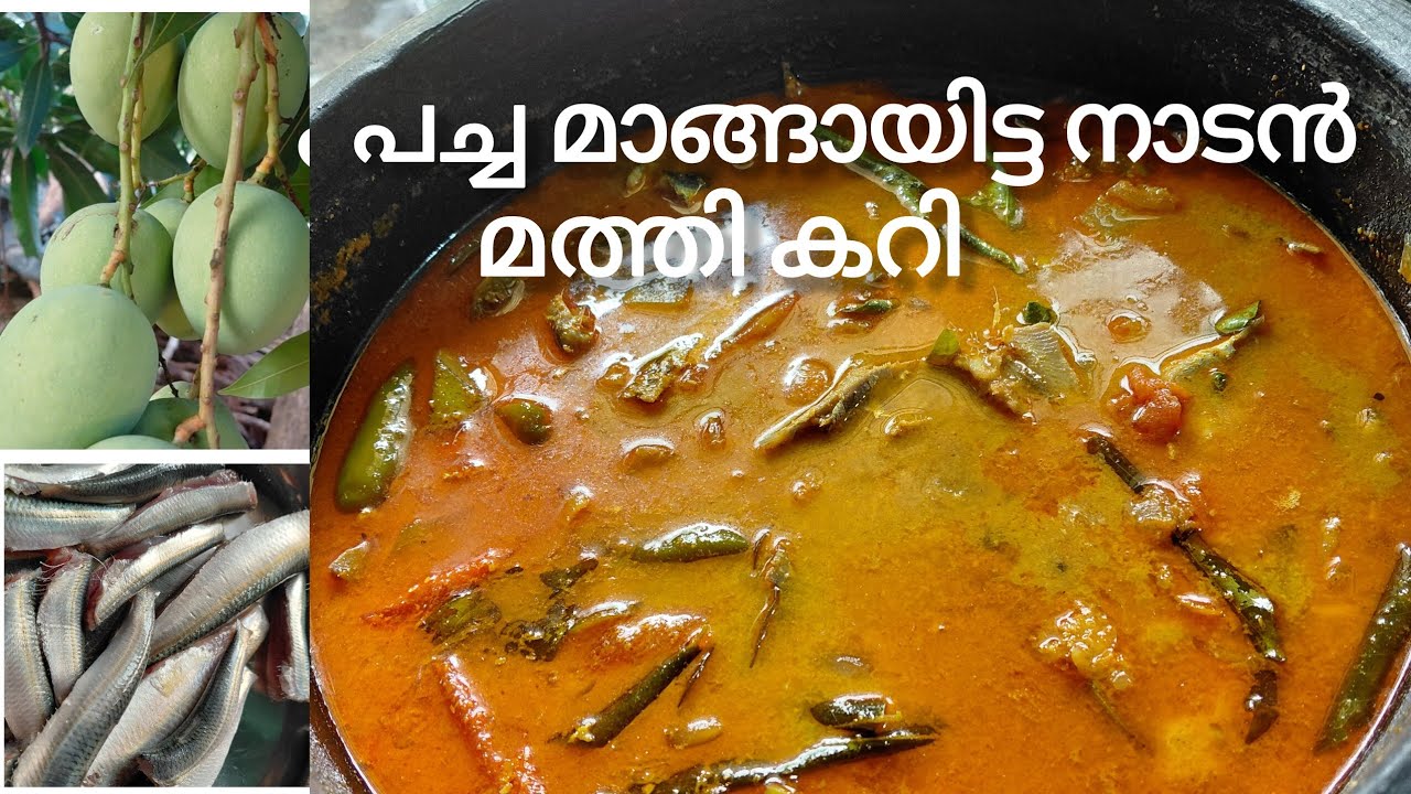 പച്ച മാങ്ങായിട്ട നാടൻ മത്തി കറി😋#@aadhiniranjana8219#recipe#kerala  #shortsfeed#fyp#viral  