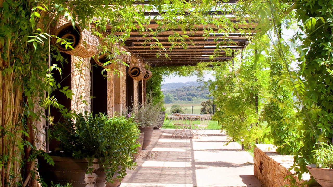 Mediterranean terrace and garden in summer - singing birds
