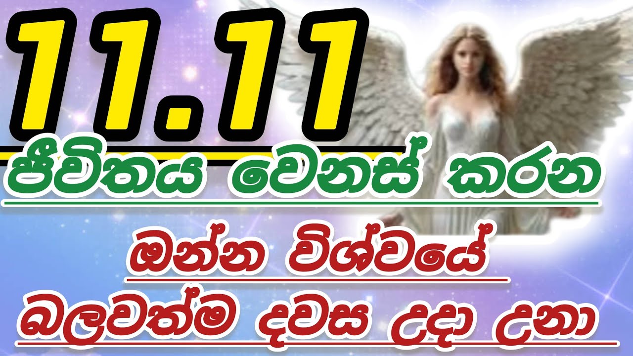11.11 portal//විශ්වයේ බලවත්ම දිනය මග හැර නොගන්න//✨️🦋✨️🌍