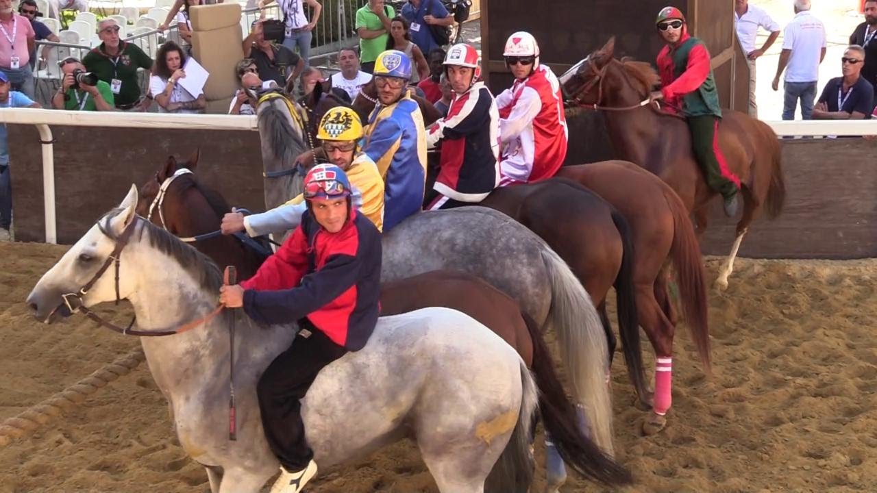 Palio di Asti, chi sono i cavalli schierati: ecco come si allenano i mezzosangue