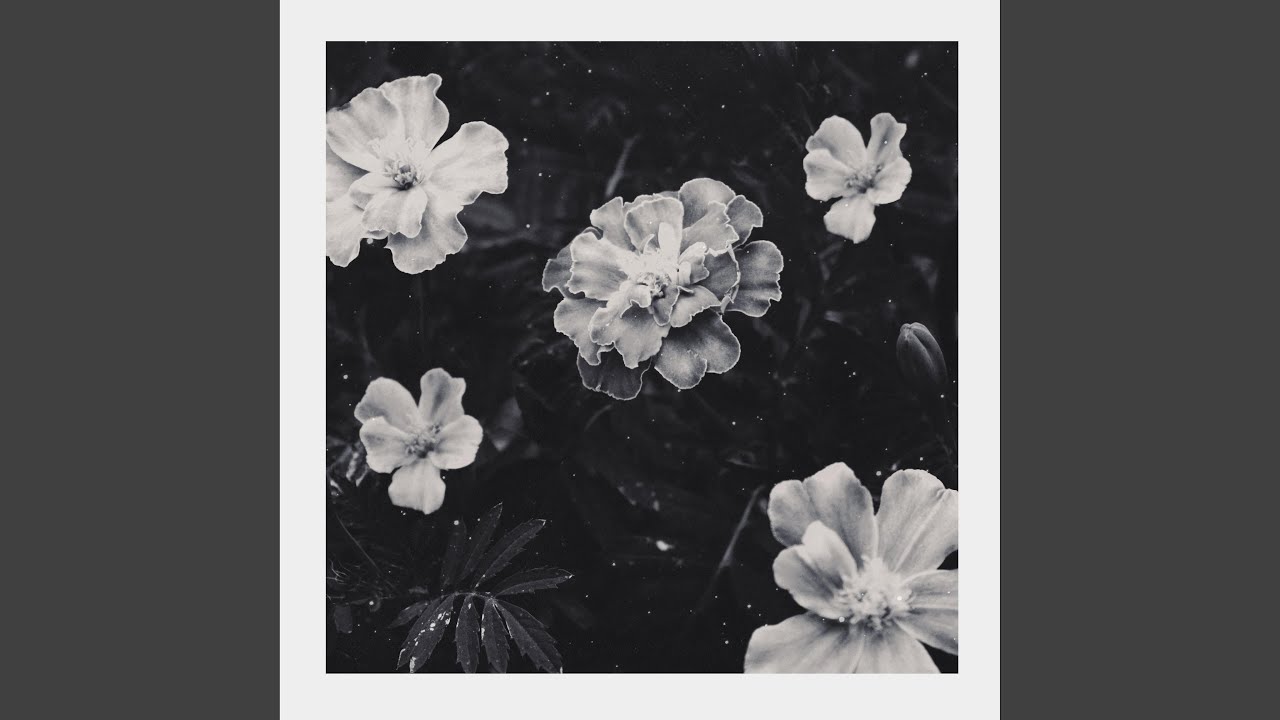Tiny Sprout (feat. Alaskan Tapes)