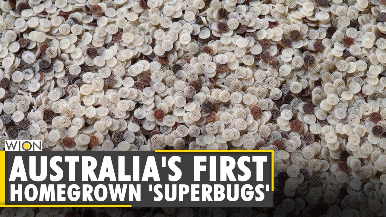 Australian Superbugs eat sewage, reduces need for chemicals in wastewater plants | Annamox Bugs