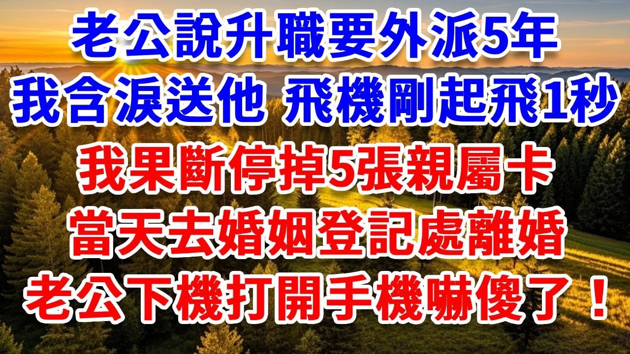 老公說升職要外派5年，我含淚送他 飛機剛起飛1秒，我果斷停掉5張親屬卡，當天去婚姻登記處離婚，老公下機打開手機 徹底傻了！#思妤說故事#為人處世#生活經驗#情感故事#晚年哲理#說故事#完結文#原創故事
