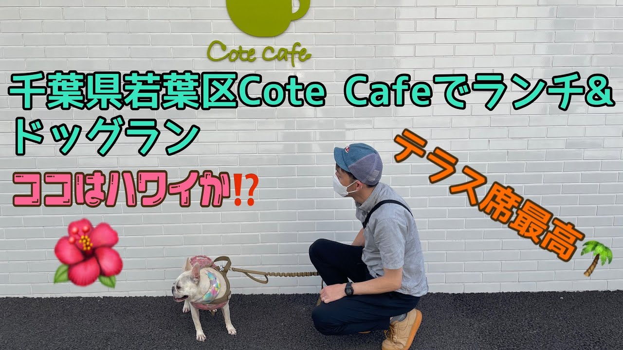犬と行けるカフェ、千葉県若葉区Cote Cafeでランチ&ドッグラン