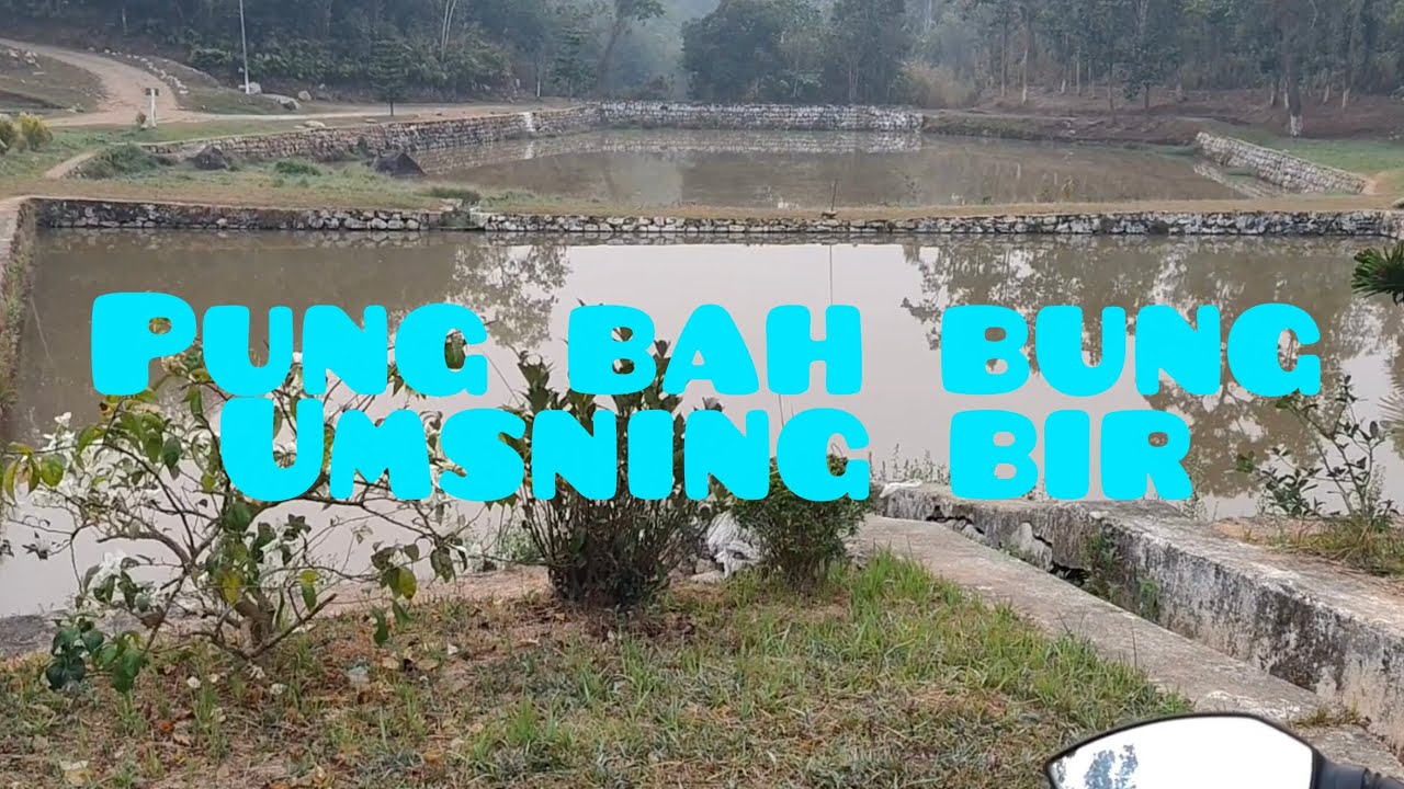 Poi khwai biang ha pung bah bung 