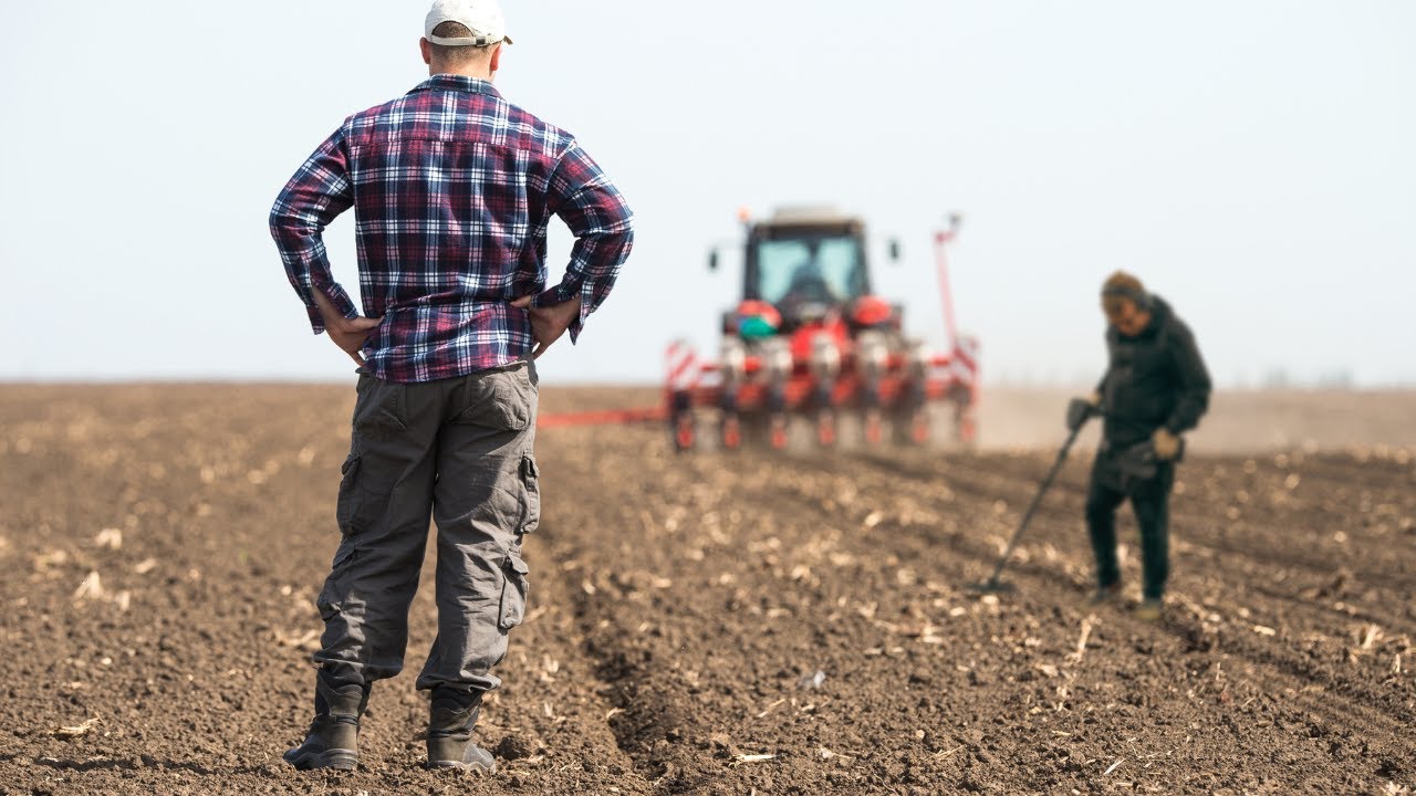 Master the Art of Metal Detecting: Insider Tips Revealed