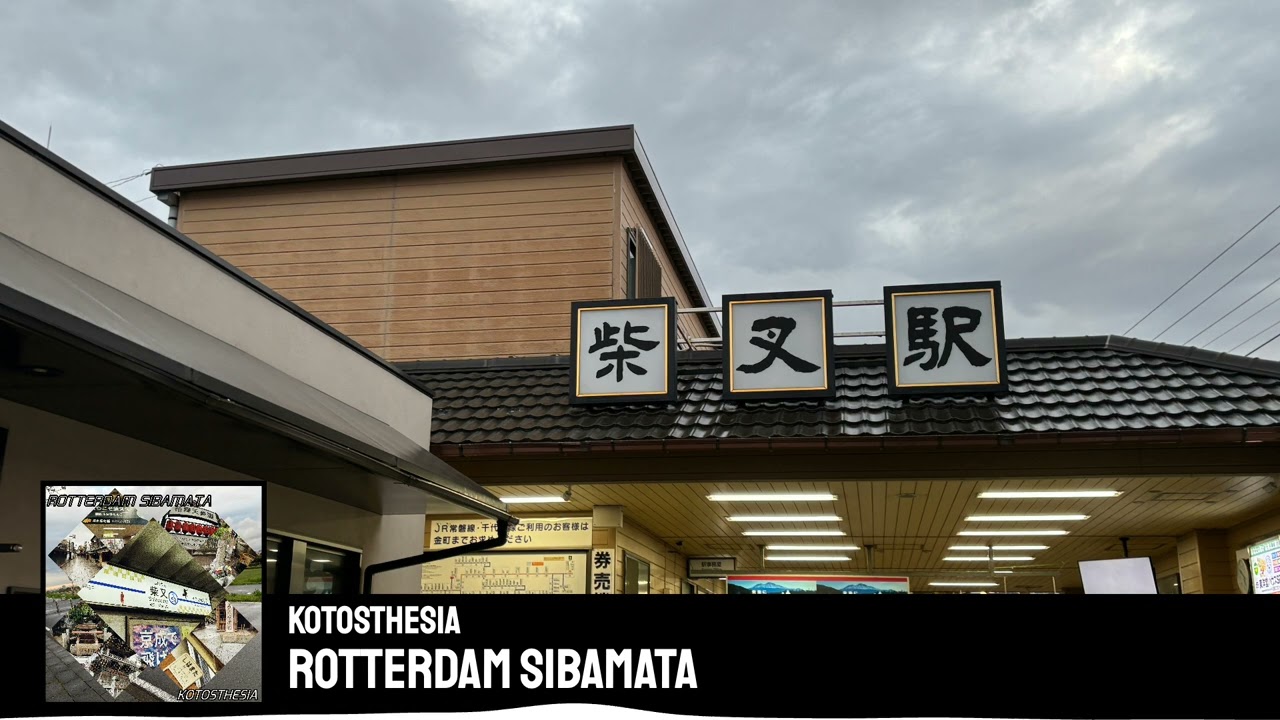 【柴又アレンジ】ROTTERDAM SIBAMATA