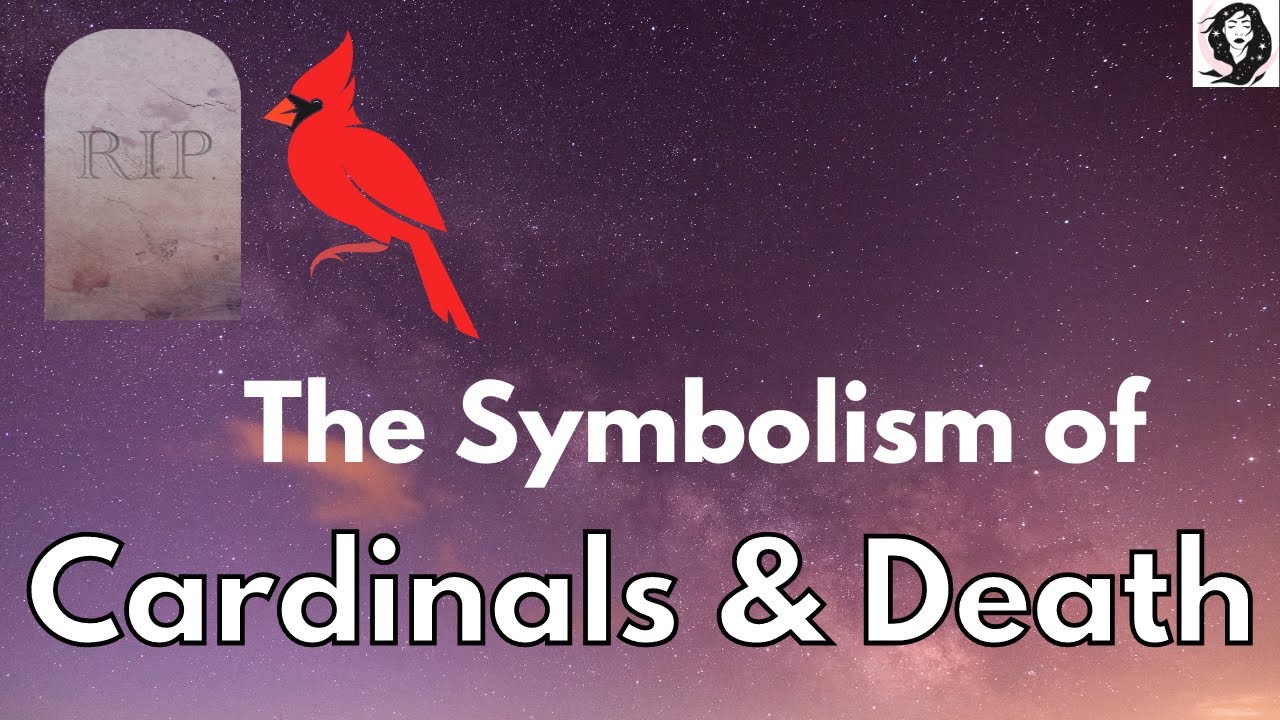 Symbolism of Cardinals and Death