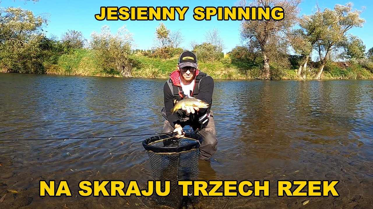 Miały być rzeczne klenie na spinning, a były..🤯 Rzeki Wisłoka, Ropa i Jasiołka! Złota polska jesień🍁