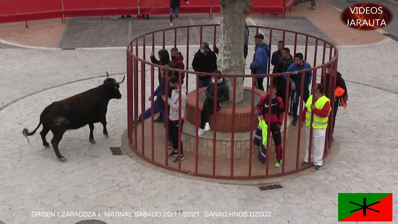 GRISEN  (ZARAGOZA)  MATINAL  (SÁBADO 20 NOVIEMBRE 2021)  HNOS. OZCOZ