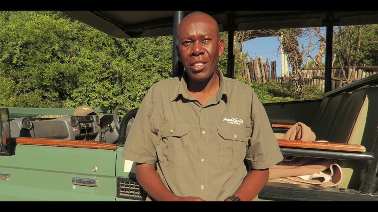 A Safari with Amakhala Safari Lodge