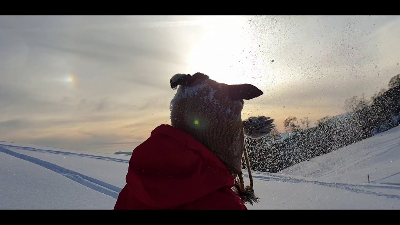 Fun - Alpe di Neggia