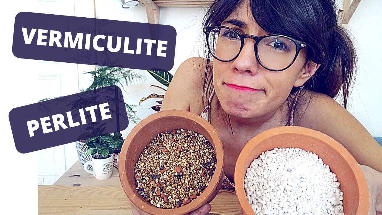 Vermiculite vs perlite | what is vermiculite used for?