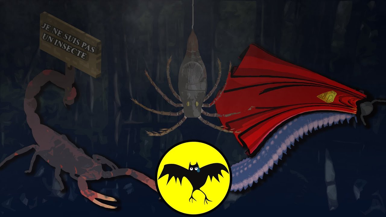 ARTHROPODES VS THE TOPMAN FRANÇAIS