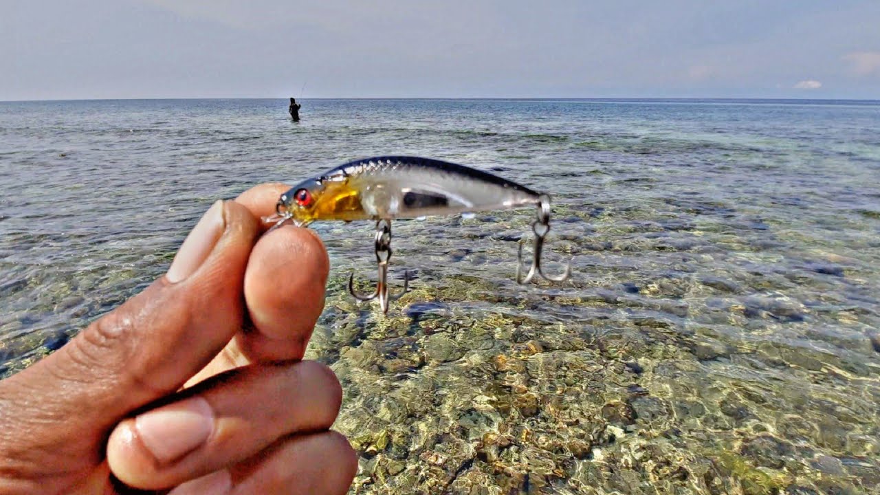 Mancing Casting Karang Dangkal Hasil Sangat Memuaskan || Spot Ada Buaya Nya😱