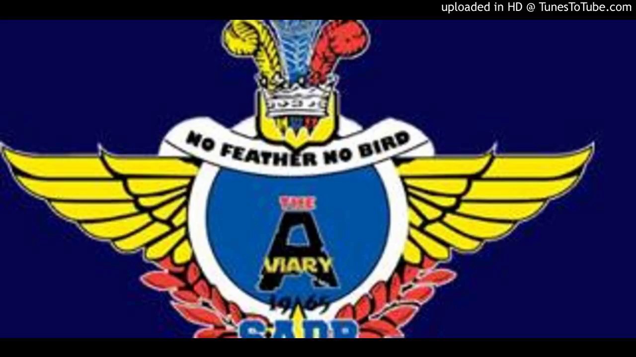 tosyno buckingham jorjor