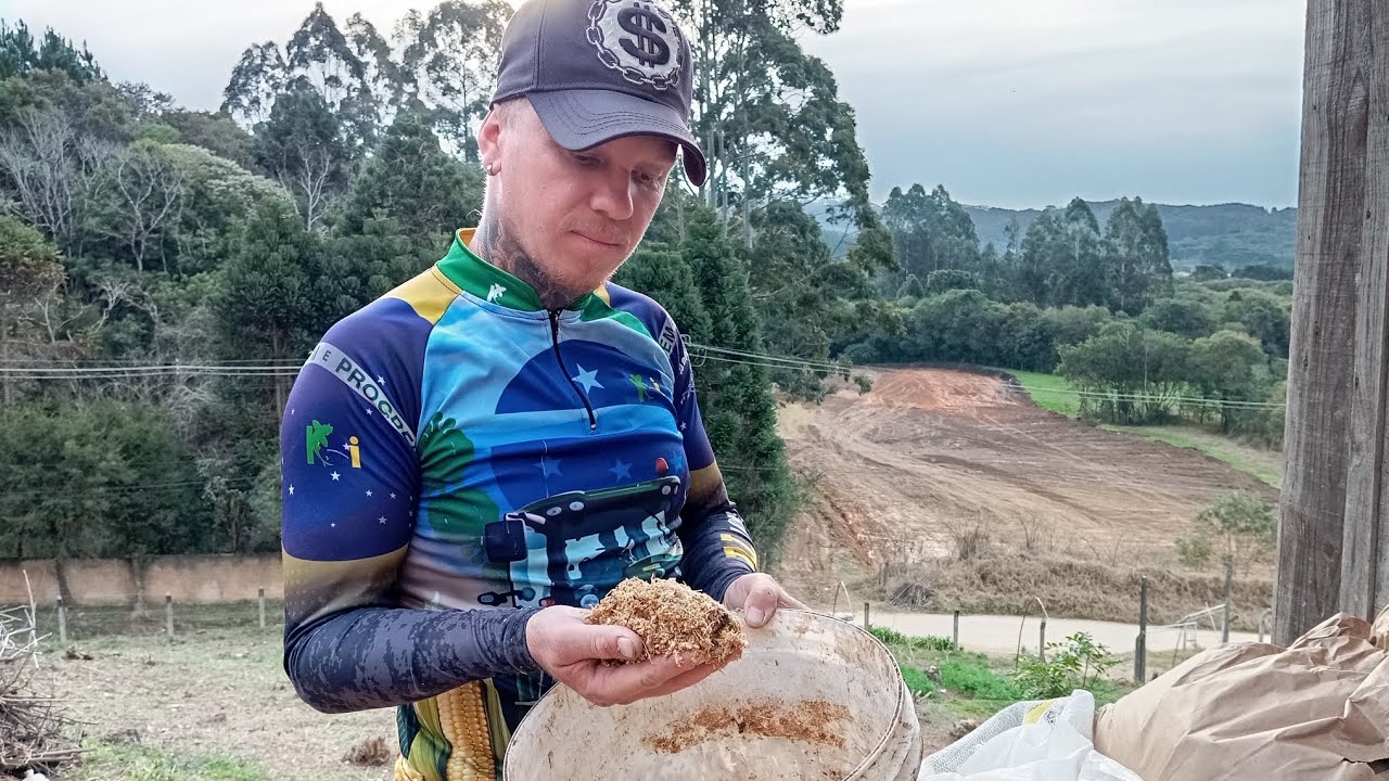 ESSE É UM DOS ALIMENTOS MAS BARATO PARA FORNECER AOS PORCOS 