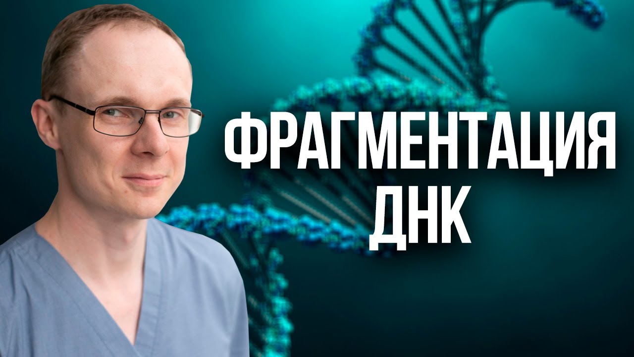 Фрагментация ДНК сперматозоидов. Проблемы с зачатием.  Врач уролог-андролог. Москва.