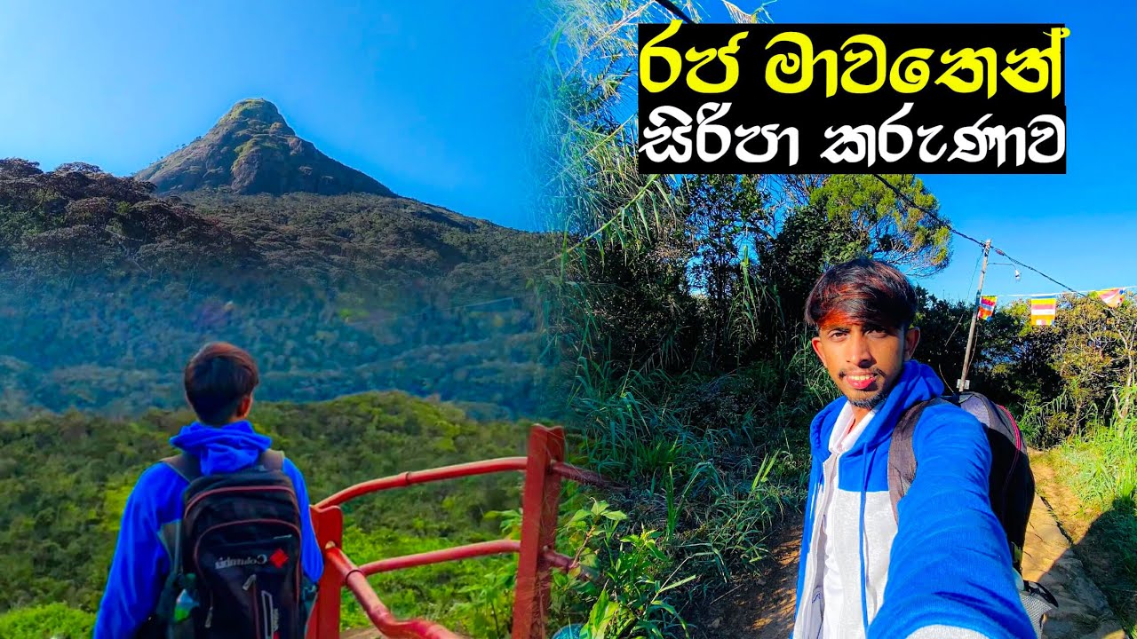 රජ මාවතෙන් සිරිපා කරුණාව | Sri Pada Temple | Adam's Peak | #foryou #trending #viralvideo #fyp