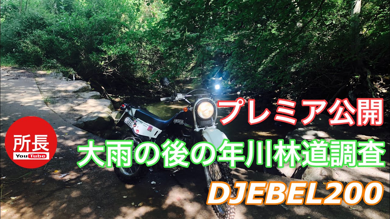 プレミア公開　大雨の後の年川林道調査×DJEBEL200  2021-7-17【モトブログ】