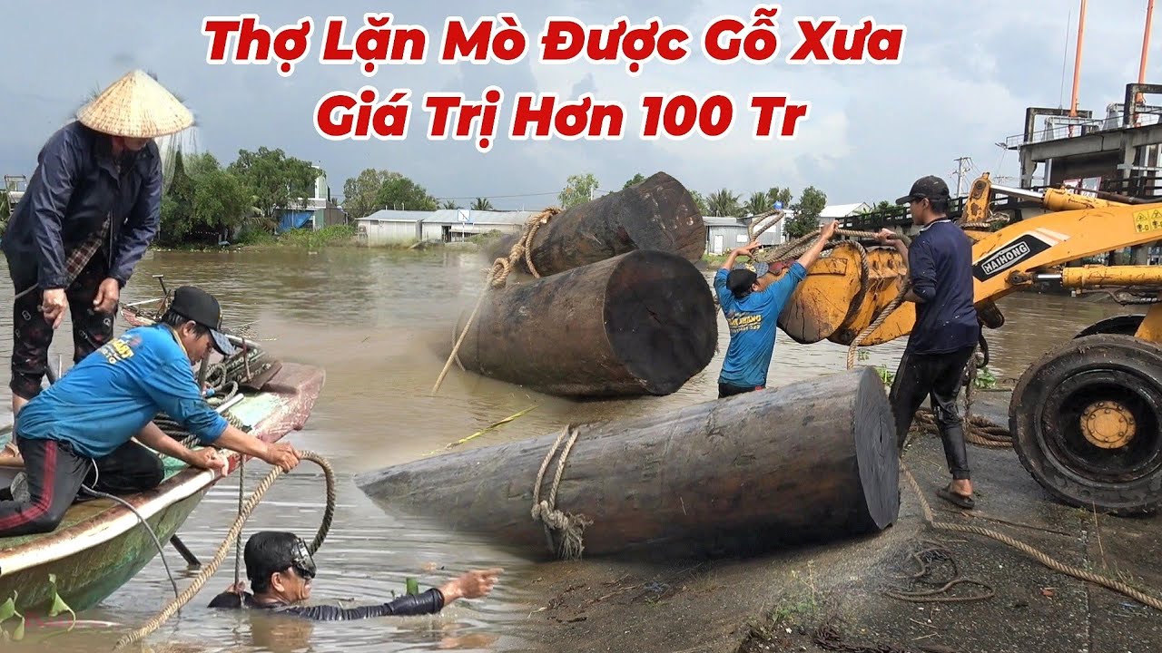 Thợ Lặn Bất Ngờ Mò Được 3 Khúc Gỗ Quý Giá Trị Hơn 100 Triệu.