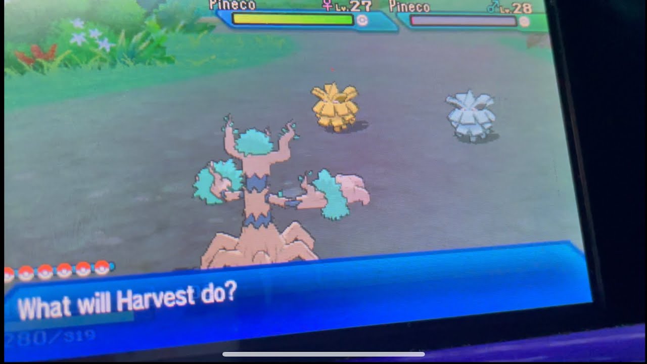 Shiny pineco after 77 sos encounters USUM