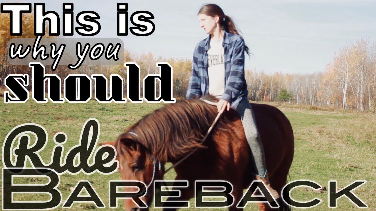 What you didn't know about RIDING BAREBACK!