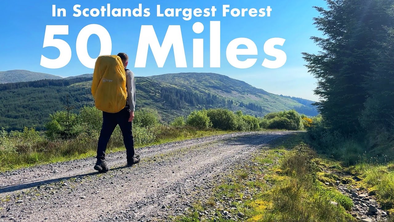 Hiking 50 Miles In Scotlands Largest Forest