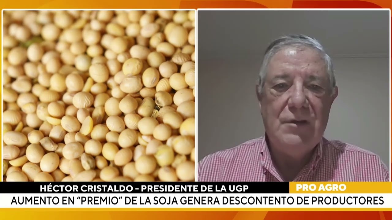 Preocupa a productores premios pagados en la soja