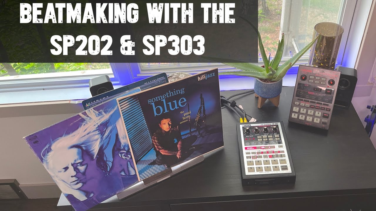 SP303 & SP202 Beat Making...Giving Me Old Cartoon Network or Adult Swim Bump Vibes...Chill & Gritty