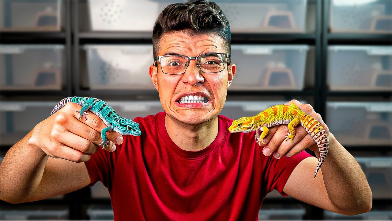 ¡CUIDADO! Estos 5 errores  cometí  con Geckos Leopardo 🦎❌