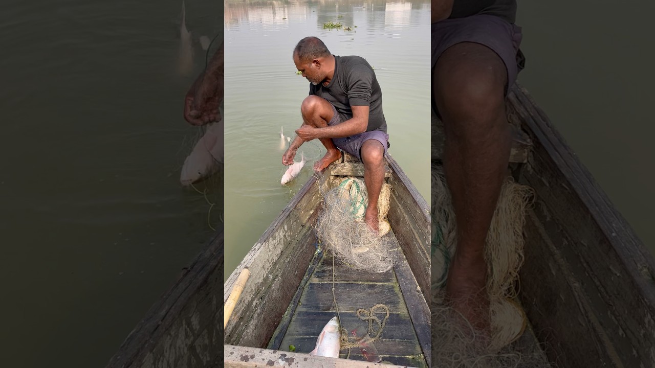 😱Quick Catch – Amazing Fish! 