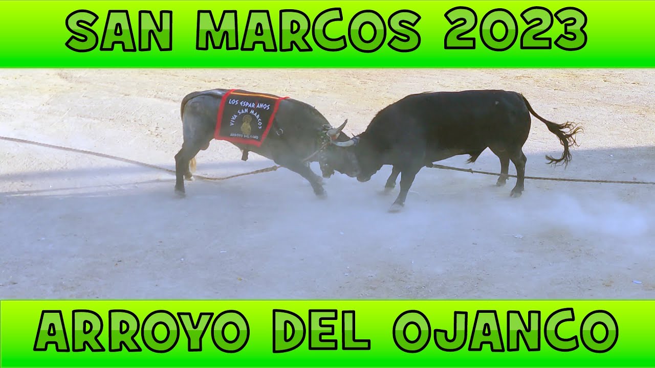 ARROYO DEL OJANCO 🐂 SAN MARCOS 2023 ➤ JAEN