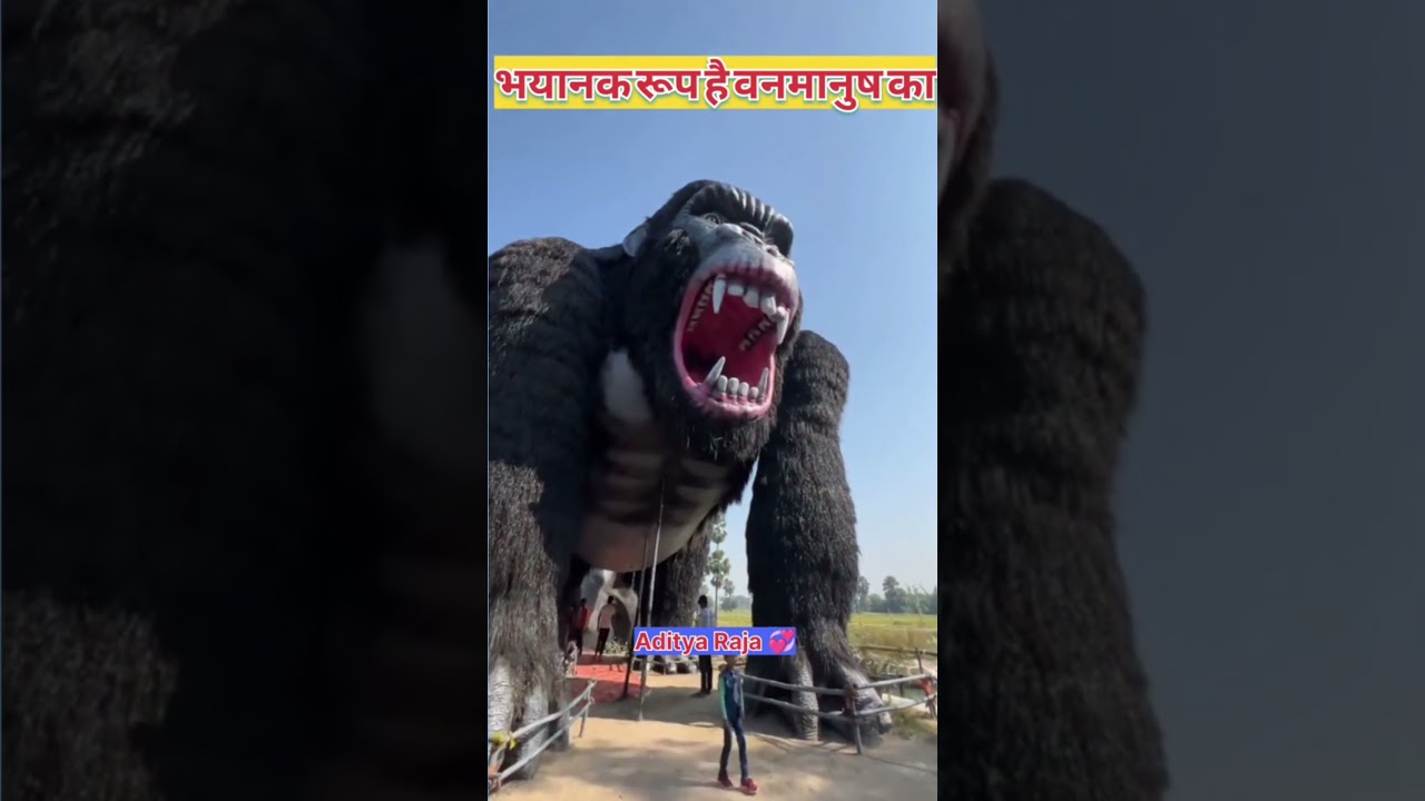 मैं परदेसी हूं तेरा द्वार आया हूं। Main Pardesi hun Tera dwar aaya hun #yt #trading #new #vaishno