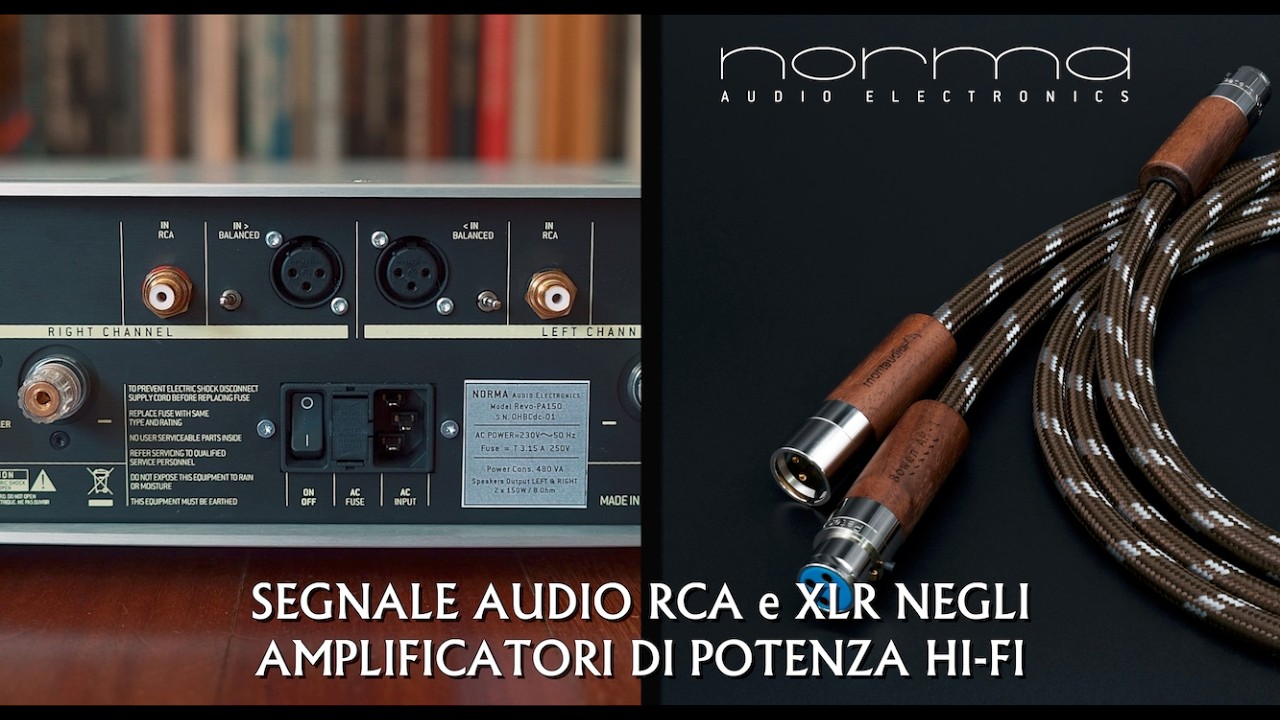 Segnale audio RCA e XLR negli amplificatori di potenza Hi-Fi.