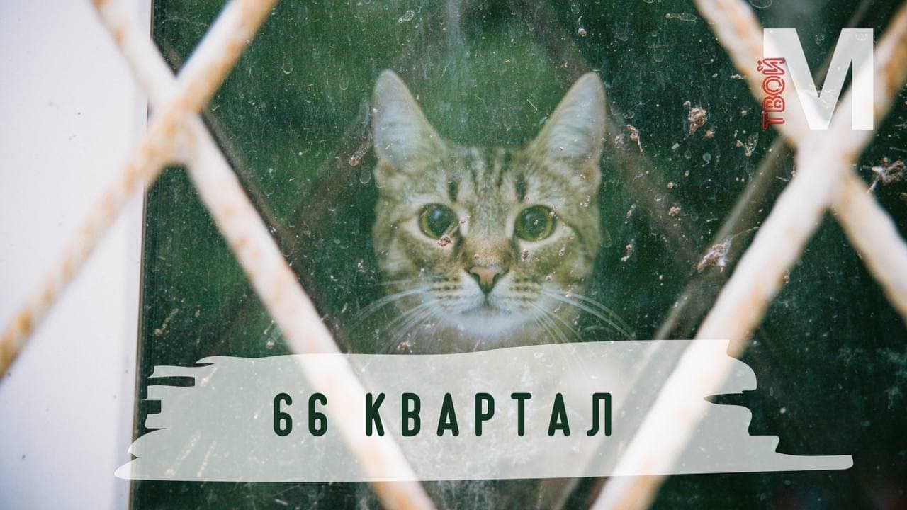 Курмыши. Тревел-блог по 66 кварталу  | «Твой Металлург»