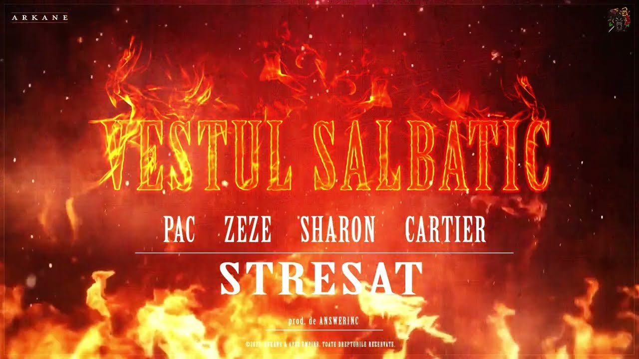 VESTUL SALBATIC - STRESAT (PAC ❌ ZEZE ❌ SHARON ❌ CARTIER) | prod. AnswerInc (Lyric Video)