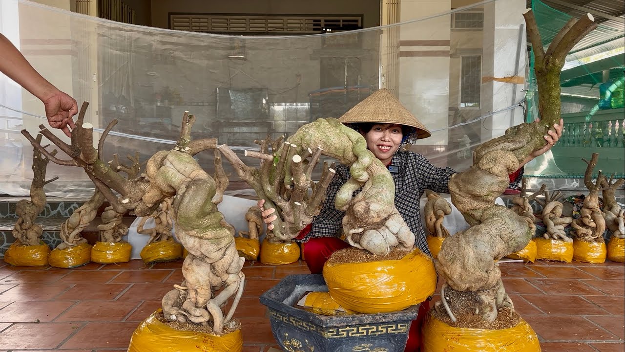 Siêu phẩm phôi hoa giấy mỹ siêu to, siêu quái đẹp giao lưu toàn quốc ☎0939.421.599 Hương Đoàn