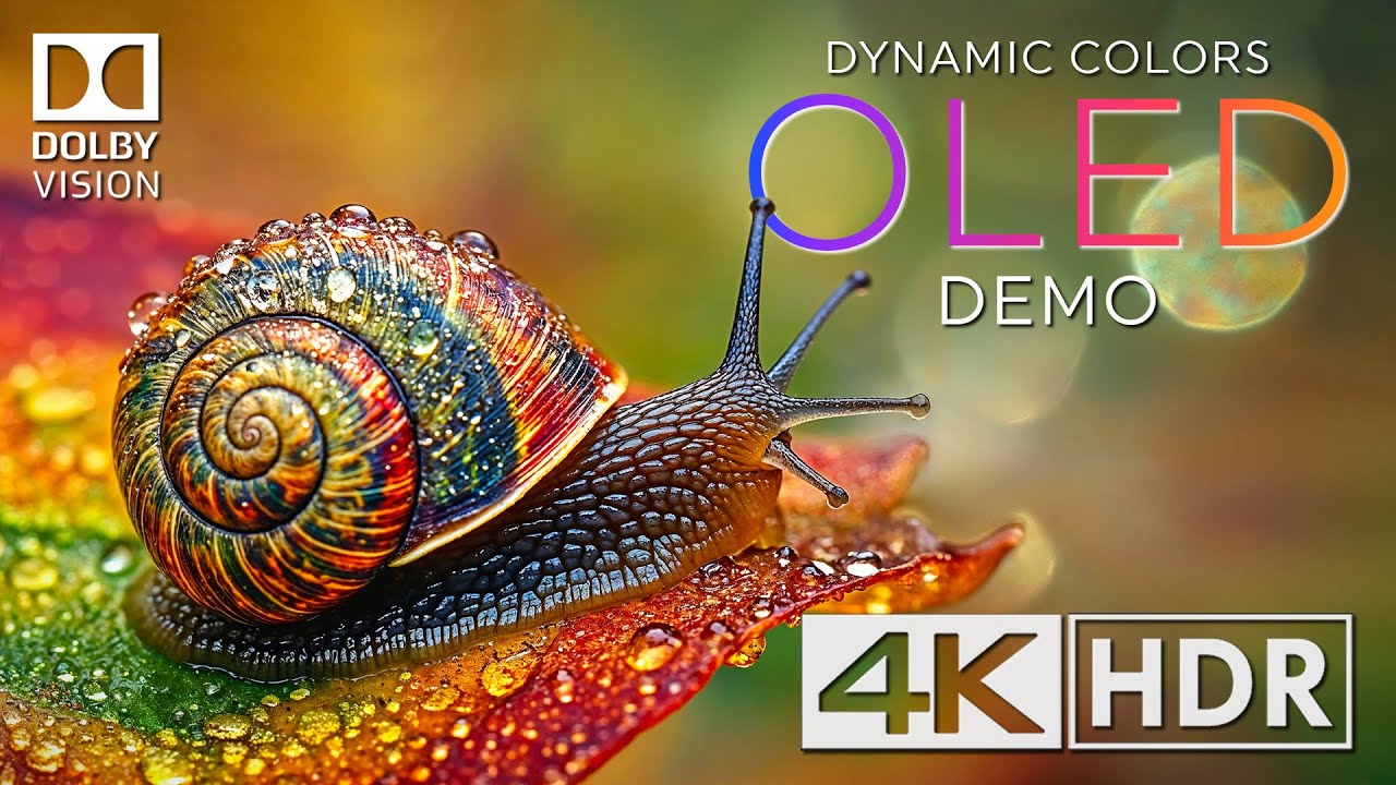 Dynamic Colors 💥 Spectacular HDR 4K Video 60fps Dolby Vision&trade; | Cinematic Music