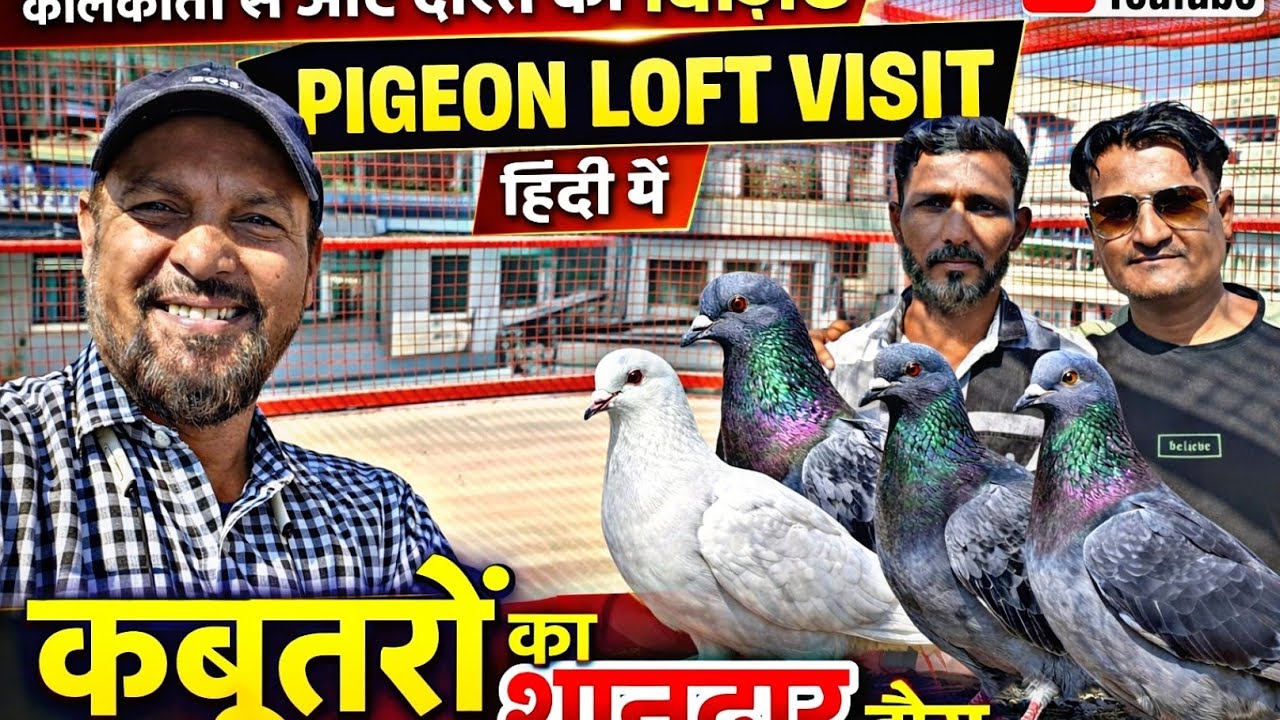 BHOPAL PIGEONS LOFT VISIT SIRAJ BHAI KOLKATA