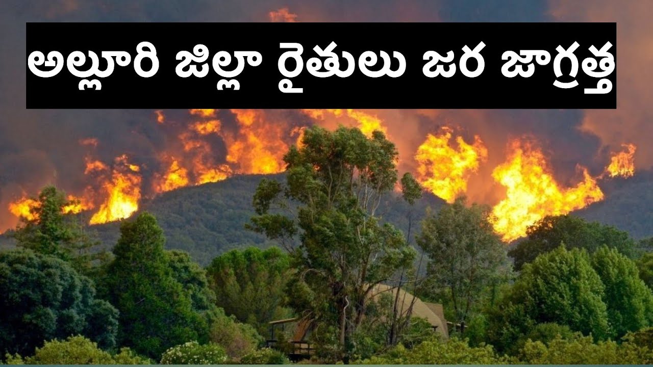 అల్లూరి జిల్లా రైతులు జర జాగ్రత్త || ASR ZILLA FM || farmers be careful 
