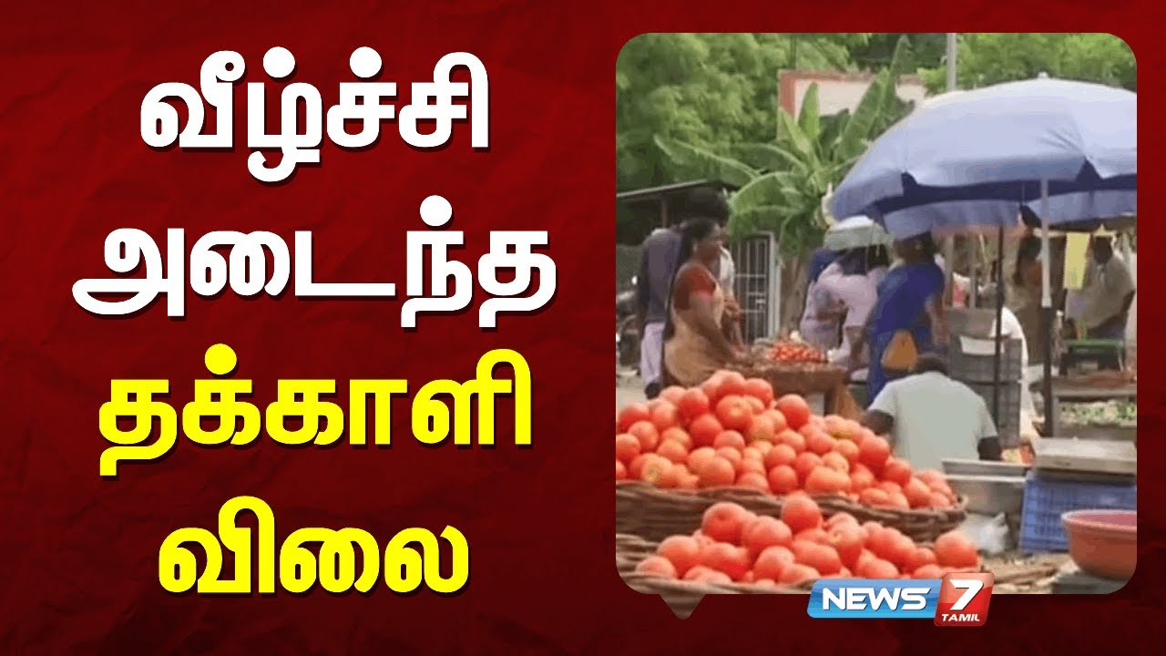 வீழ்ச்சி அடைந்த தக்காளி விலை | NEWS7 TAMIL