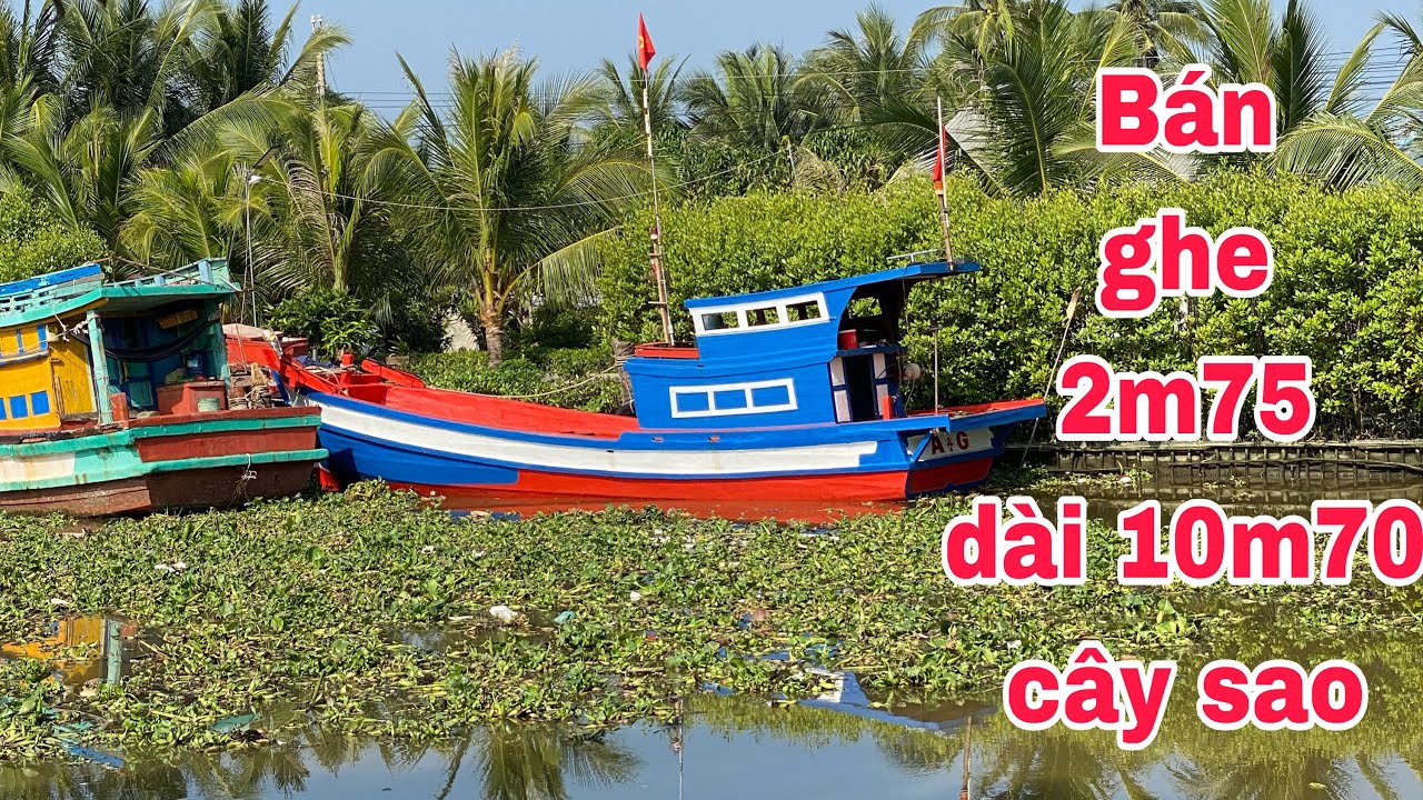 Bán ghe 2m75 dài 10m70 cây sao  ☎️0948000506 gặp QUỐC HƯNG để biết thêm chi tiết