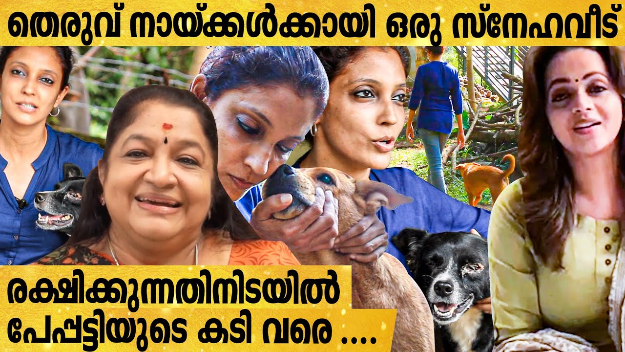 പുഴുവരിച്ച നായകൾ മുതൽ പേപ്പട്ടികൾ വരെ സംരക്ഷണത്തിൽ | ഈ സംഘടനക്ക് ഇന്ന് സിനിമാ താരങ്ങളും Support