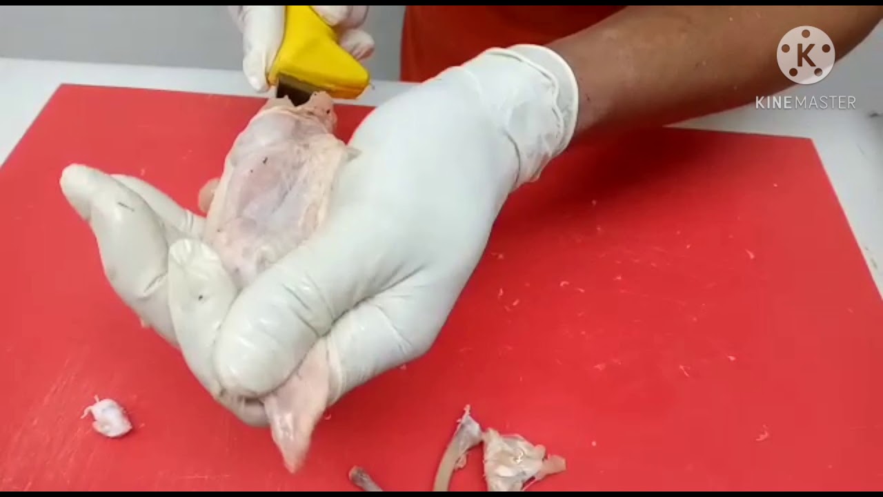 les ailes de poulets farcies .اجنحة الدجاج معمرين