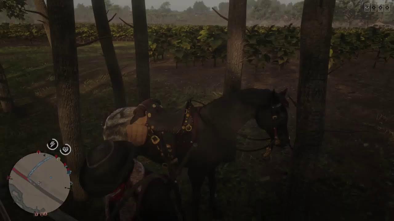 Hanging rdr2